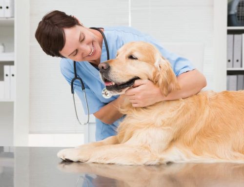 Is your practice’s website limiting your growth?