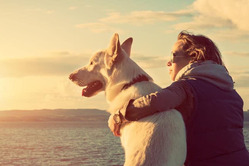 40208203 - young attractive girl with her pet dog at a beach, colorised image