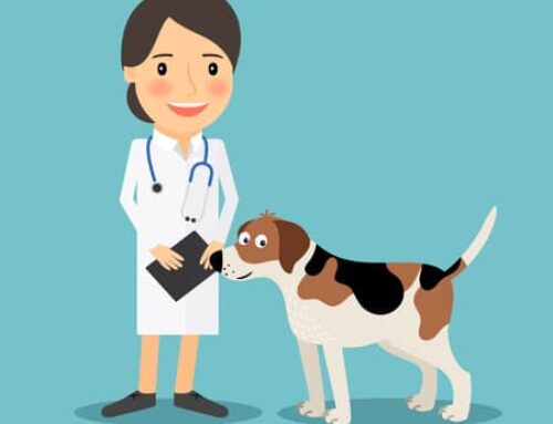 Why isn’t my practice growing?