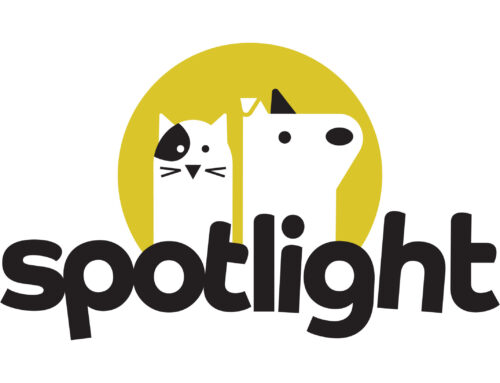 The Context Gap in Veterinary Visits (and How to Fix It With Spotlight)