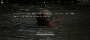 blogtesti