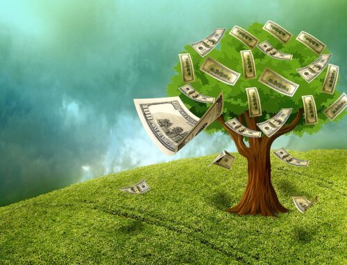 Veterinary Website SEO