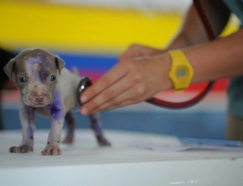 Nail this ONE concept, and your practice will grow