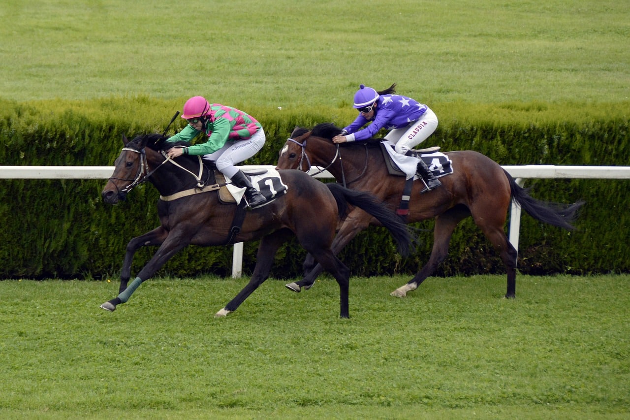 horse-racing-1577292_1280