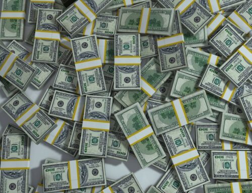 How to make your Veterinary Website a Conversion Machine