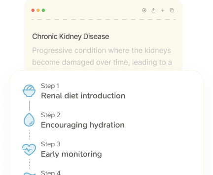 A partial webpage displays information about chronic kidney disease and a four-step process: renal diet introduction, encouraging hydration, early monitoring, and an unfinished fourth step. Icons accompany each step.