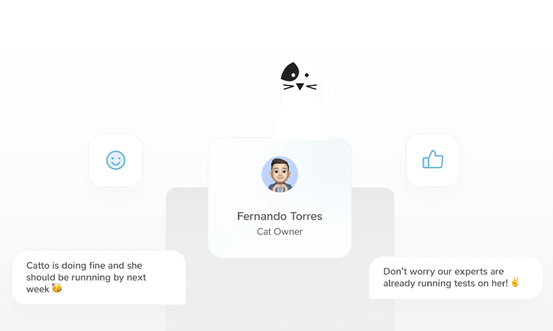A simple illustration showing a cat above a user profile for "Fernando Torres, Cat Owner," with two chat bubbles discussing a cat's health and experts running tests. There are smiley and thumbs-up icons on each side.