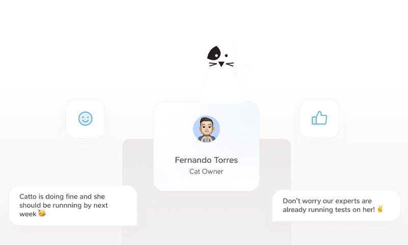 A simple illustration showing a cat above a user profile for "Fernando Torres, Cat Owner," with two chat bubbles discussing a cat's health and experts running tests. There are smiley and thumbs-up icons on each side.