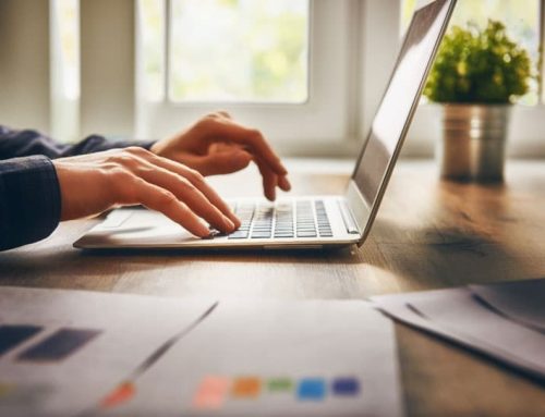 Shopping for a veterinary website – 5 uncommon questions to ask